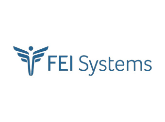 FEI Systems