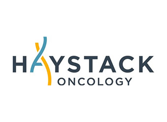 Haystack Oncology was founded to dramatically improve patient outcomes with transformative precision oncology.